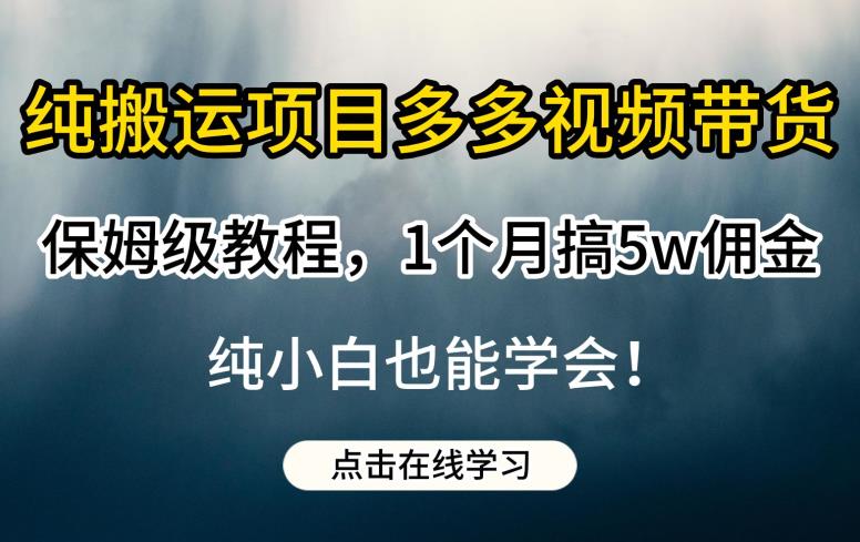 纯搬运项目多多视频带货保姆级教程，1个月搞5w佣金，纯小白也能学会【揭秘】-86资源库