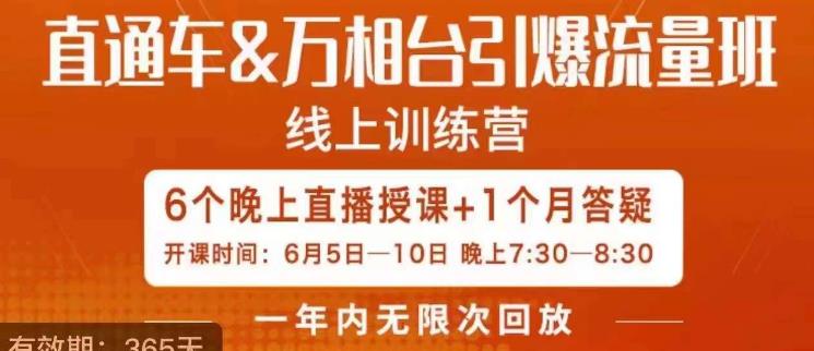 直通车&万相台引爆流量班，6天打通你开直通车·万相台的任督二脉-86资源库