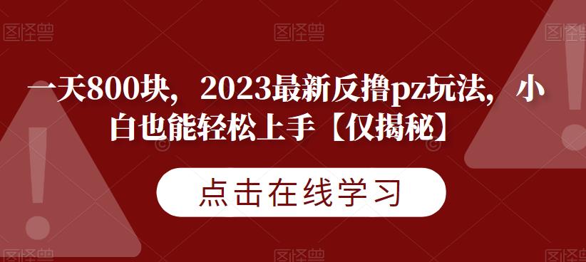 一天800块，2023最新反撸pz玩法，小白也能轻松上手【仅揭秘】-86资源库