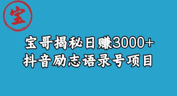 宝哥揭秘日赚3000+抖音励志语录号短视频变现项目-86资源库