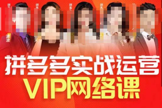 推易拼多多VIP全套直播课程，拼多多店铺实操玩法+实战玩法选款内功+直通车高阶等-86资源库