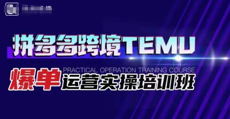 拼多多跨境TEMU爆单运营实操培训班，海外拼多多的选品、运营、爆单-86资源库