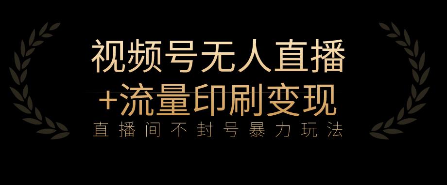 全网首发视频号不封号无人直播暴利玩法+流量印刷机变现，日入1000+【揭秘】-86资源库
