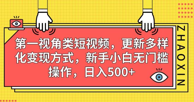 第一视角类短视频，更新多样化变现方式，新手小白无门槛操作，日入500+【揭秘】-86资源库