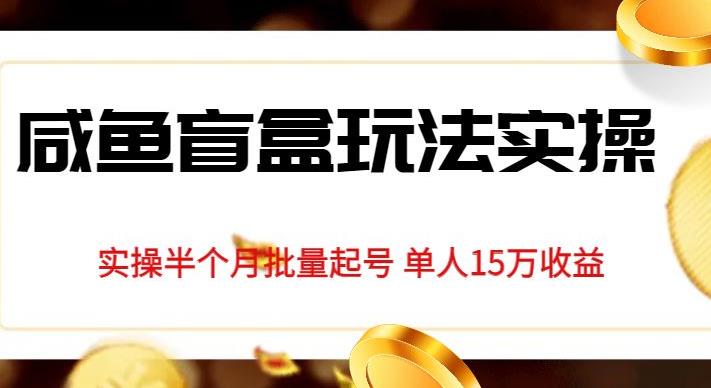 独家首发咸鱼盲盒玩法实操，半个月批量起号单人15万收益【揭秘】-86资源库