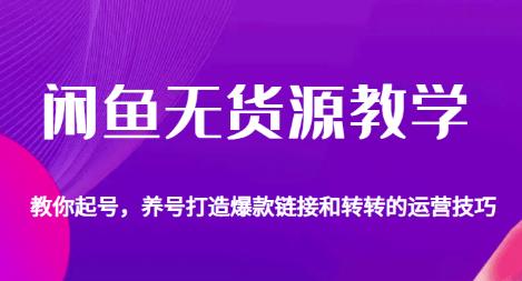闲鱼无货源教学，教你起号，养号打造爆款链接以及转转的运营技巧-86资源库