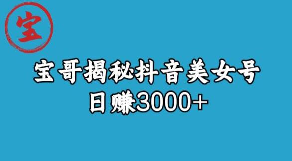 宝哥揭秘抖音美女号玩法，日赚3000+【揭秘】-86资源库