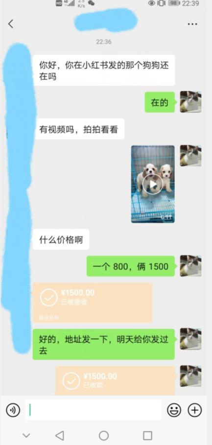 外边收费3980的同城萌宠项目，用最冷门的玩法冲击最热门的市场【揭秘】-86资源库
