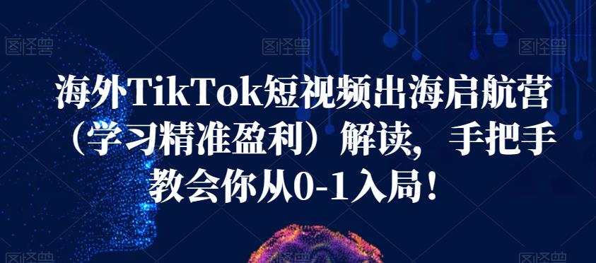 海外TikTok短视频出海启航营（学习精准盈利）解读，手把手教会你从0-1入局！-86资源库