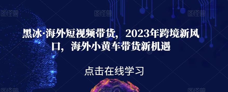 黑冰·海外短视频带货，2023年跨境新风口，海外小黄车带货新机遇-86资源库