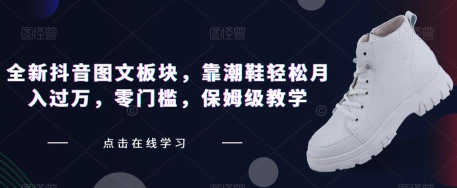 全新抖音图文板块，靠潮鞋轻松月入过万，零门槛，保姆级教学【揭秘】-86资源库