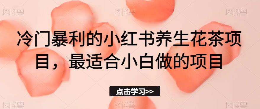 冷门暴利的小红书养生花茶项目，最适合小白做的项目【揭秘】-86资源库