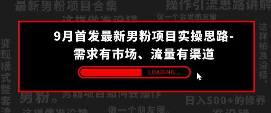 9月首发最新男粉项目实操思路-需求有市场，流量有渠道【揭秘】-86资源库