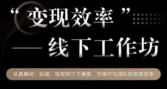 变现效率线下工作坊，从‮播直‬间、私域、‮视短‬频‮个三‬维度，升级IP和团队变现效率-86资源库