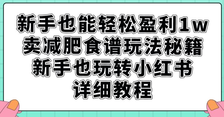 新手也能轻松盈利1w，卖减肥食谱玩法秘籍，新手也玩转小红书详细教程【揭秘】-86资源库