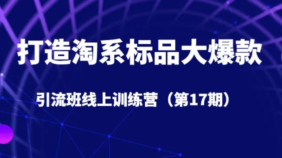 打造淘系标品大爆款引流班线上训练营（第17期）5天直播授课-86资源库