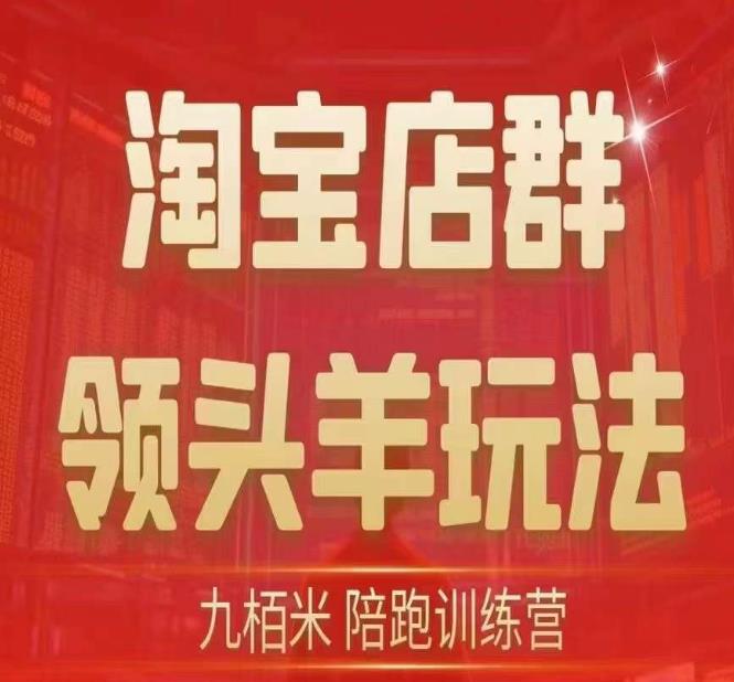 九栢米-淘宝店群领头羊玩法，教你整个淘宝店群领头羊玩法以及精细化/终极蓝海/尾销等内容-86资源库