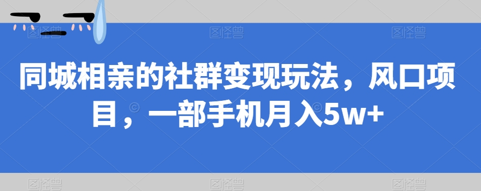 同城相亲的社群变现玩法，风口项目，一部手机月入5w+【揭秘】-86资源库