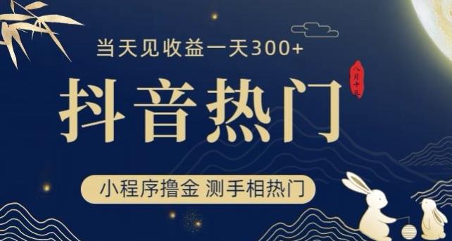 抖音最新小程序撸金，测手相上热门，当天见收益一小时变现300+【揭秘】-86资源库