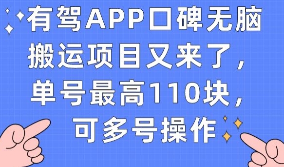 有驾APP口碑无脑搬运项目又来了，单号最高110块，可多号操作-86资源库