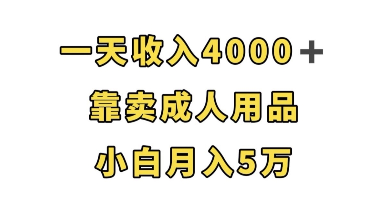 一天收入4000+，靠卖成人用品，小白轻松月入5万【揭秘】-86资源库