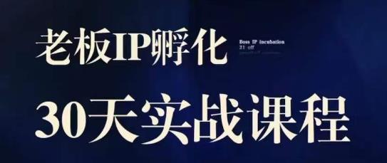 诸葛·2023老板IP实战课，实体同城引流获客，IP孵化必听-86资源库