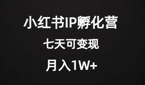价值2000+的小红书IP孵化营项目，超级大蓝海，七天即可开始变现，稳定月入1W+-86资源库