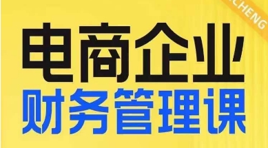 电商企业财务管理线上课，为电商企业规划财税-86资源库