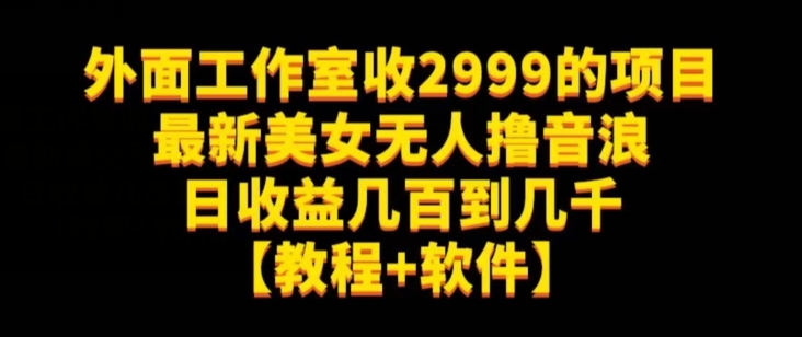 外面工作室收2999的项目最新美女无人撸音浪日收益几百到几千【教程+软件】（仅揭秘）-86资源库