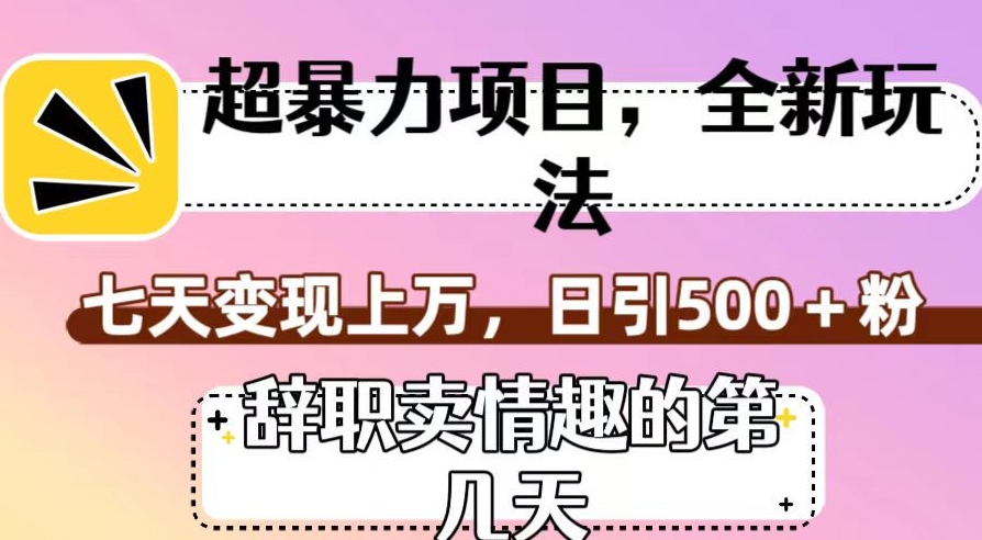 超暴利项目，全新玩法（辞职卖情趣的第几天），七天变现上万，日引500+粉【揭秘】-86资源库