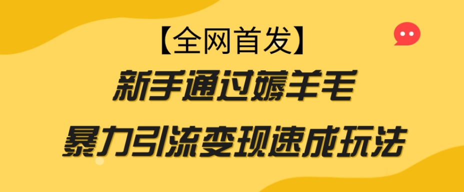 【全网首发】新手通过薅羊毛暴力引流变现速成玩法-86资源库
