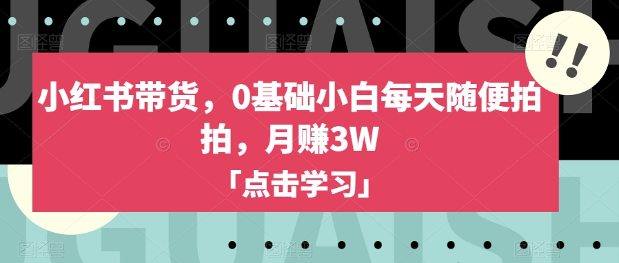 小红书带货，0基础小白每天随便拍拍，月赚3W【揭秘】-86资源库