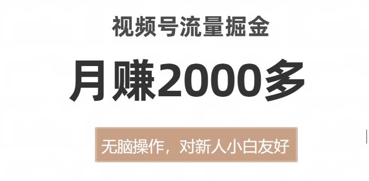 视频号流量掘金，无脑操作，对新人小白友好，月赚2000多【揭秘】-86资源库