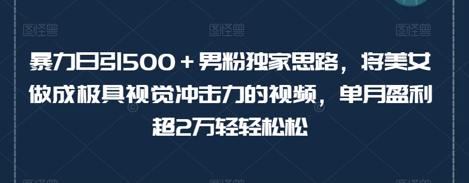 暴力日引500＋男粉独家思路，将美女做成极具视觉冲击力的视频，单月盈利超2万轻轻松松-86资源库