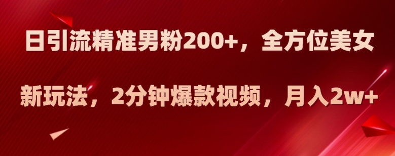 日引流精准男粉200+，全方位美女新玩法，2分钟爆款视频，月入2w+【揭秘】-86资源库