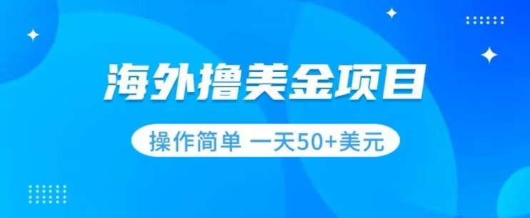 撸美金项目无门槛操作简单小白一天50+美刀-86资源库