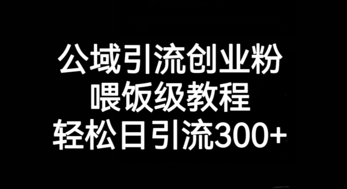 公域引流创业粉，喂饭级教程，轻松日引流300+【揭秘】-86资源库