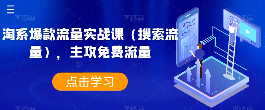 淘系爆款流量实战课（搜索流量），主攻免费流量-86资源库