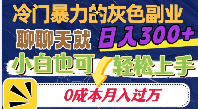 冷门暴利的副业项目，聊聊天就能日入300+，0成本月入过万【揭秘】-86资源库