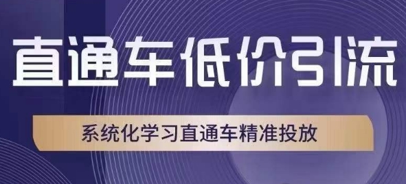 直通车低价引流课，系统化学习直通车精准投放-86资源库