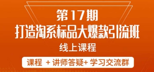 南掌柜-第17期打造淘系标品大爆款，5天线上课-86资源库