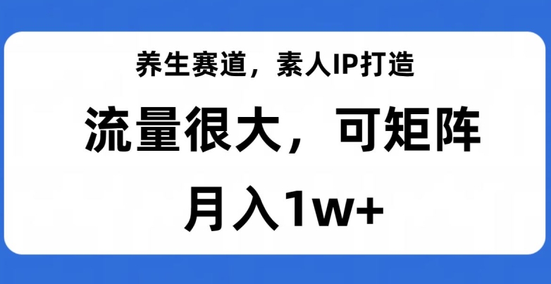 养生赛道，素人IP打造，流量很大，可矩阵，月入1w+【揭秘】-86资源库