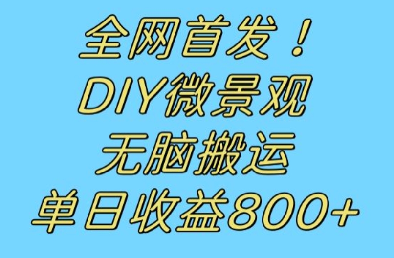 全网首发冷门赛道！DIY微景观，无脑搬运视频，日收益800+【揭秘】-86资源库