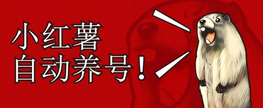 小红书养号秘籍，如何自动涨粉清晰系统标签打造高权重账号【揭秘】-86资源库