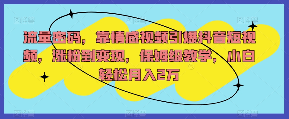 流量密码，靠情感视频引爆抖音短视频，涨粉到变现，保姆级教学，小白轻松月入2万【揭秘】-86资源库