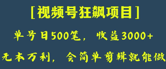 日收款500笔，纯利润3000+，视频号狂飙项目，会简单剪辑就能做【揭秘】-86资源库