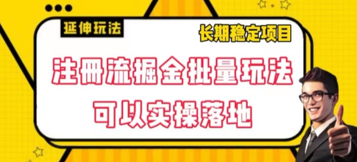 注册流掘金批量玩法，可以实操落地【揭秘】-86资源库