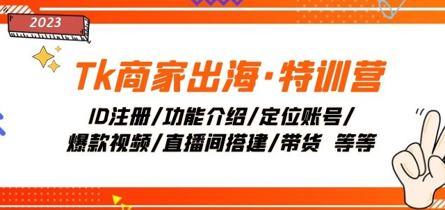 Tk商家出海·特训营：ID注册/功能介绍/定位账号/爆款视频/直播间搭建/带货-86资源库