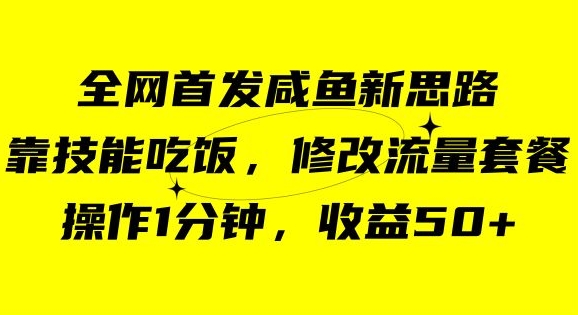 咸鱼冷门新玩法，靠“技能吃饭”，修改流量套餐，操作1分钟，收益50【揭秘】-86资源库