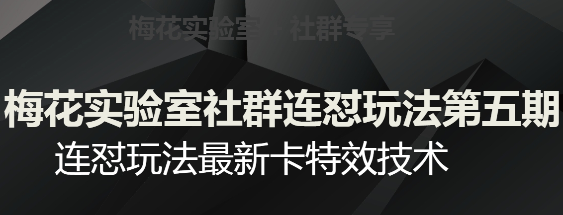 梅花实验室社群连怼玩法第五期，视频号连怼玩法最新卡特效技术-86资源库